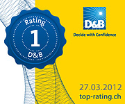 D&B Rating